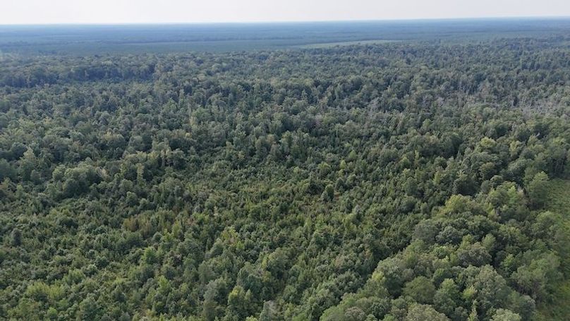 DJI_20250814091825_0059_D