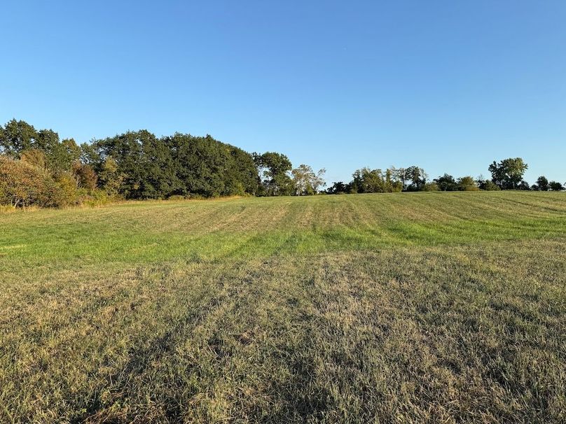 Copy of Wood Tract 6 Photo 11