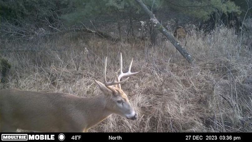 Temp_1082396-20231227213650-102MFCAM-MFDC0717