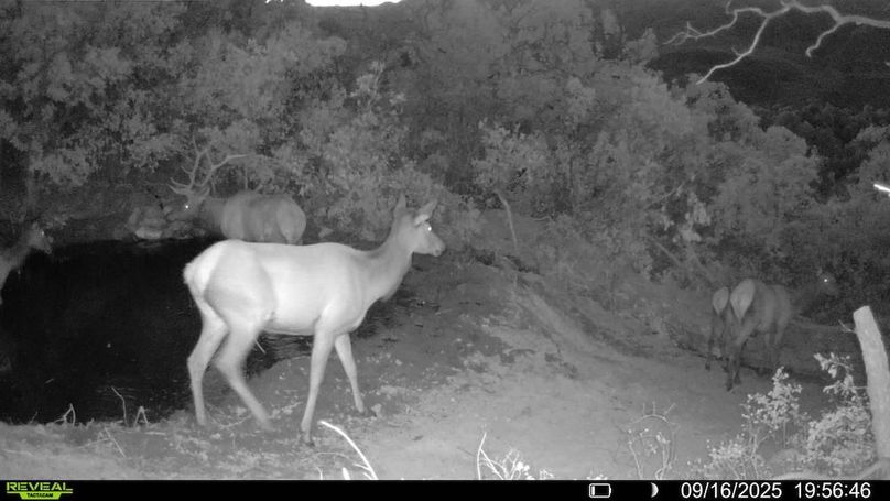 016578004083249-30-2-09162025195646-V-SYFW00235 (1)