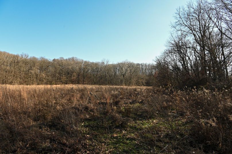 vandalia 450 (2)-691