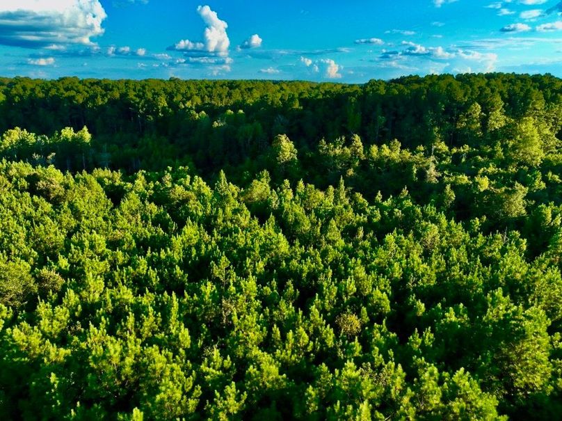 39E68C71-CE13-41EB-81D9-95C188336C88_1_105_c-2