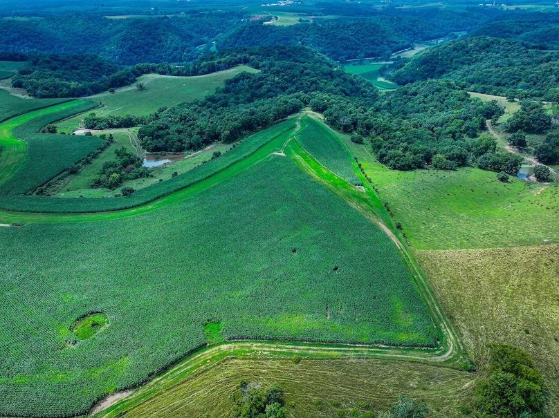 New Albin 8_8 edits-28