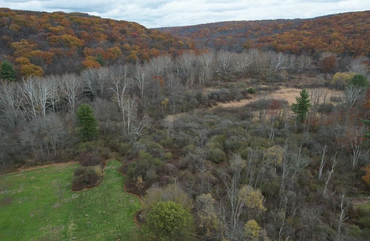 dji_fly_20251103_122520_866_1762191033288_photo