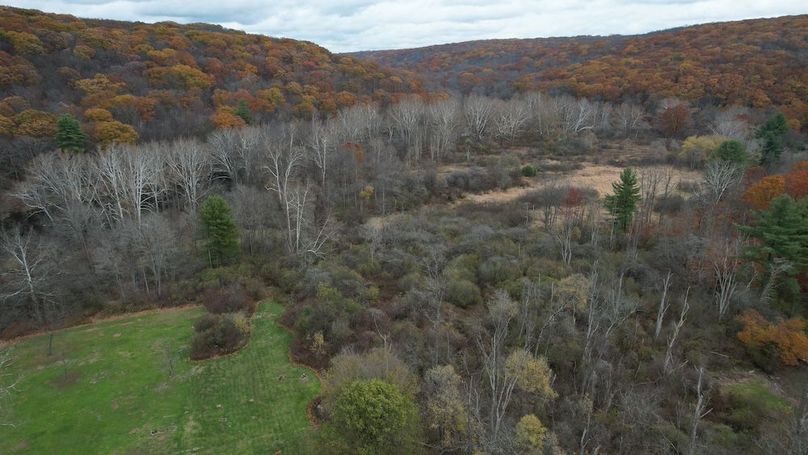 dji_fly_20251103_122520_866_1762191033288_photo