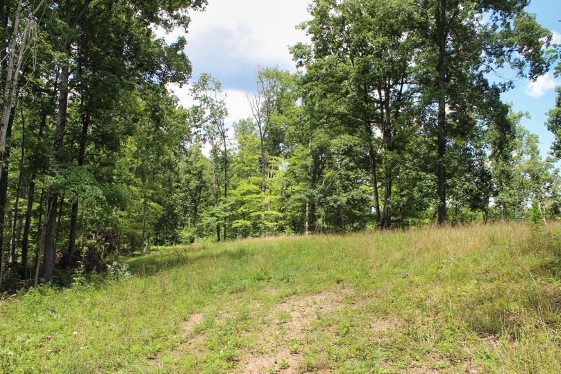 026 small meadow near the center of the property along the ridge