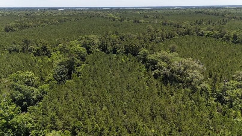 dji_fly_20250528_020536_0050_1748386804282_photo