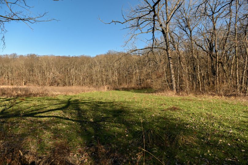 vandalia 450 (2)-684