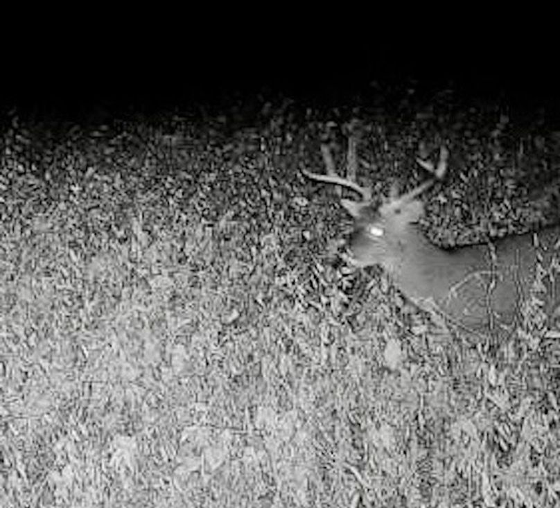 865519049947982-90-4-09302022054500-W1001032