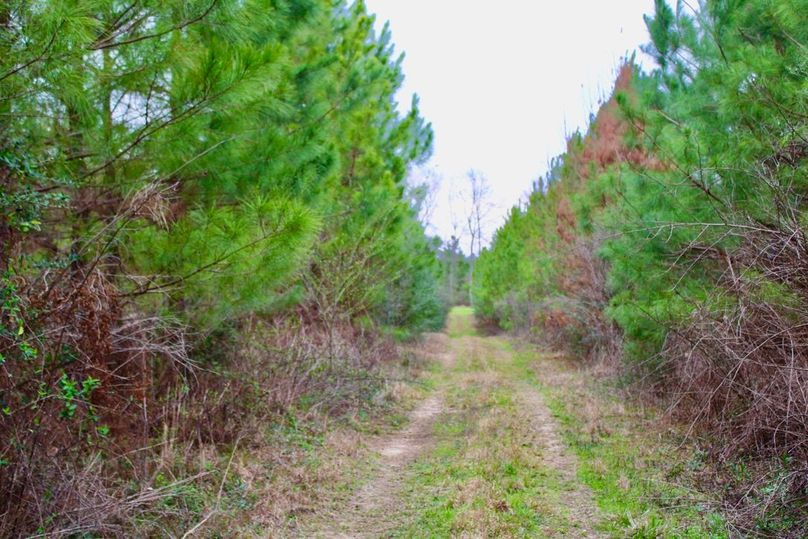 0C526788-6595-4A35-A9C9-927595355D29_1_105_c