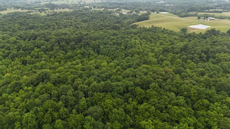 DJI_20250605123903_0576_D