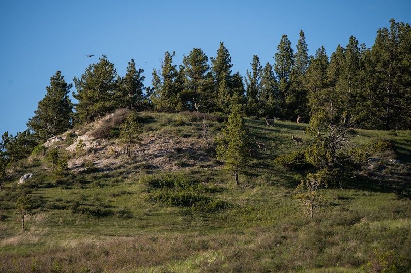 9681A035-F9C6-4D7E-9392-08140DBA5CE1