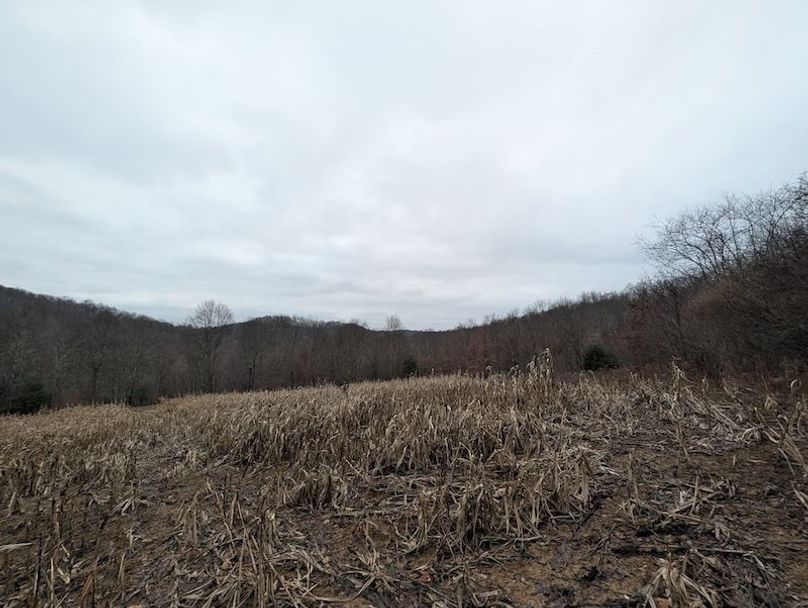 PXL_20260107_204939392