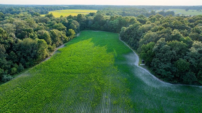 Copy of DJI_20250806060115_0059_D Large