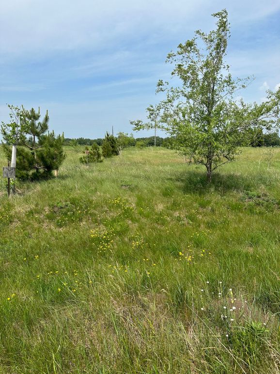 Build Your Dream Home On The Otter Tail River Whitetail Properties