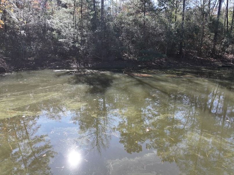 dji_fly_20251209_122512_0774_1765308495001_photo