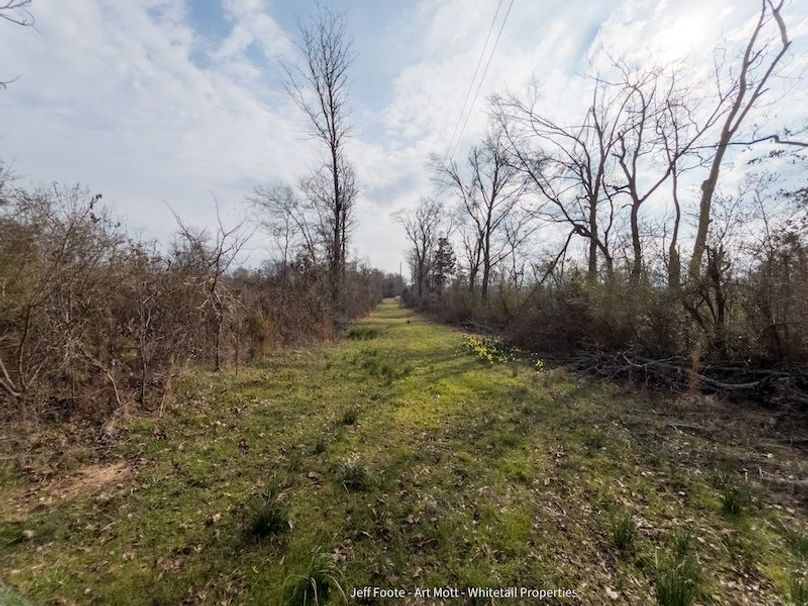 Holmes County - 108 - Rodriguez-57