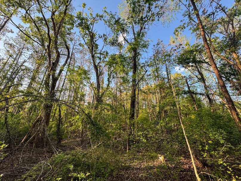 Tallahatchie 44 Newman (Crowden) Wide-45