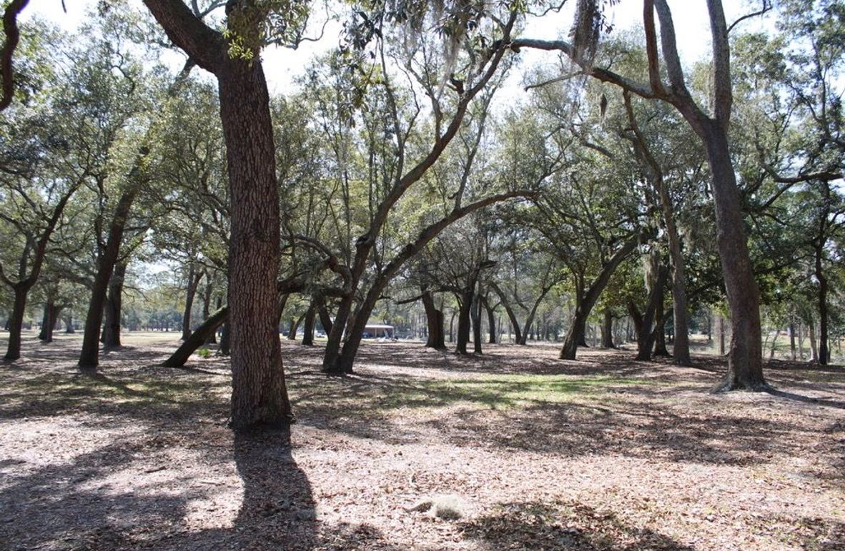 EA3574D1-1ADE-4B50-806B-845E5CE8BC70_1_105_c-2