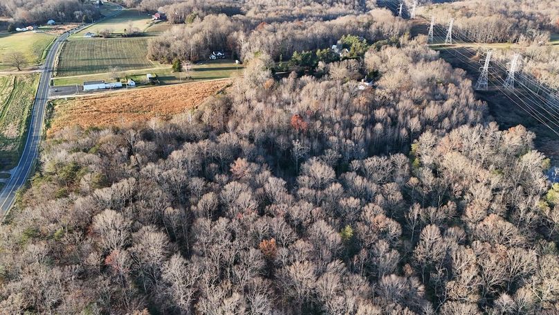 17_dji_fly_20251126_155316_0098_1764525897019_photo