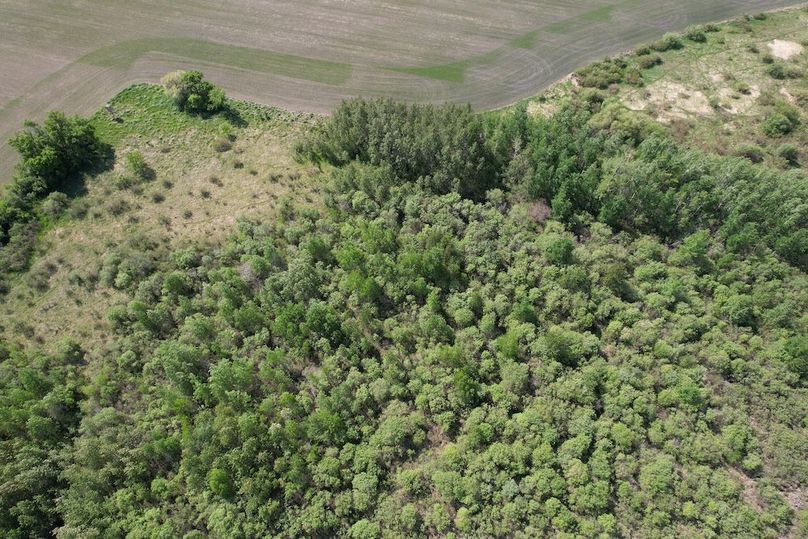 dji_fly_20260528_103156_352_1779982494838_photo