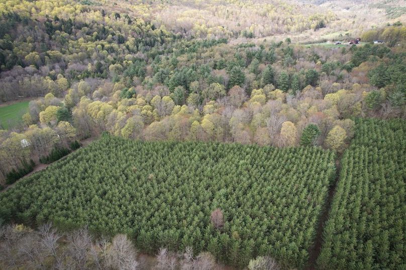 Tioga_76.65_Matyjas_Photos_25