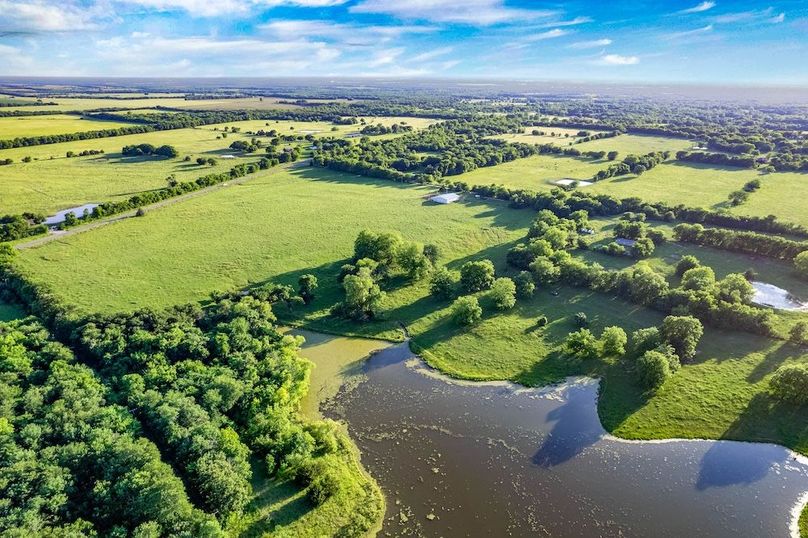 Fannin County- 134.4 acres-22