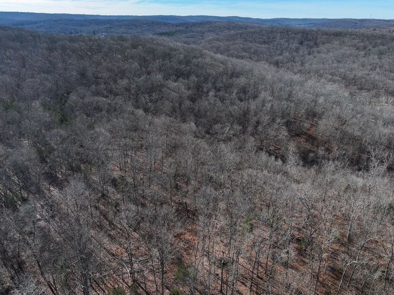 DJI_20251219114134_0897_D