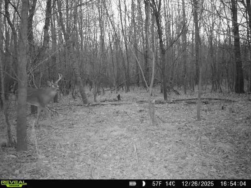 860516067589287-10-2-12262025165404-V-W1000497