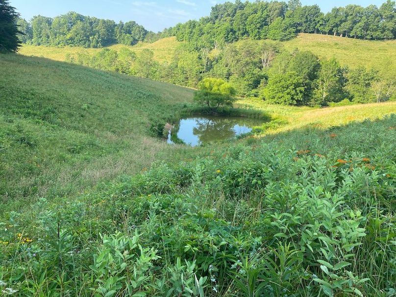 009 the small pond near the south end of the property copy