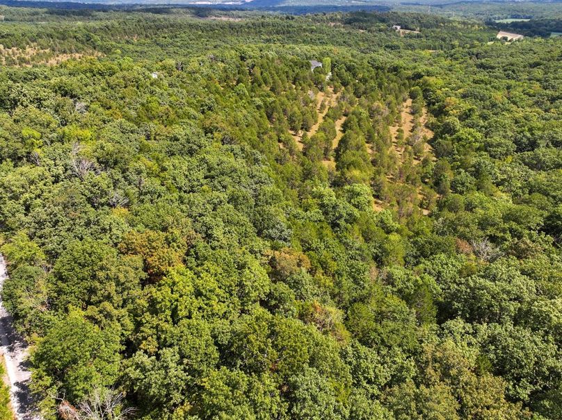 DJI_20250903120714_0550_D Large