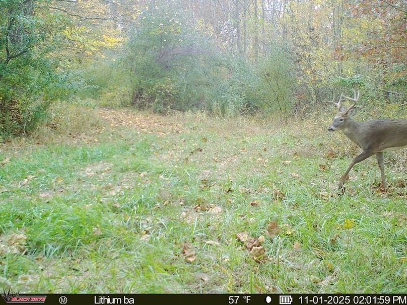 97DEB996-3AB1-4F71-ADE2-11A78438EB73