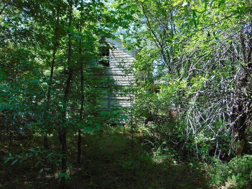 DSC00808
