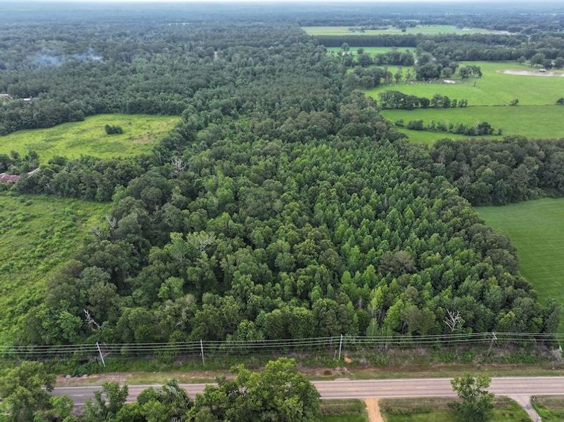 dji_fly_20250624_092918_0119_1750950822268_photo