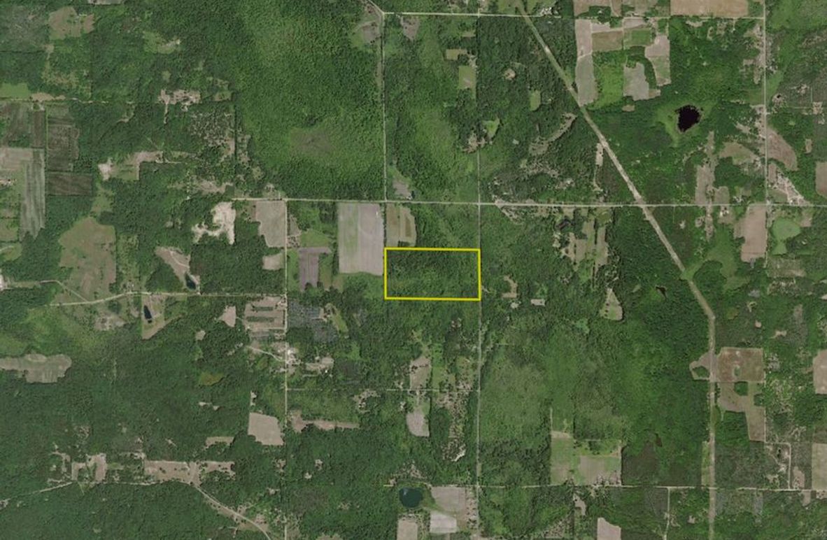 Oceana 80 132nd Ave. Aerial 3