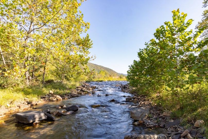 Copy of 146A2641 Large