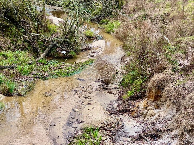 AA3134FC-193B-43D1-89E4-429EF72DBF42_1_201_a