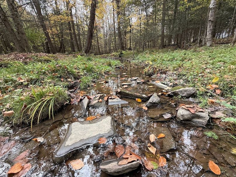 Chemung_184.12_Sterling 56