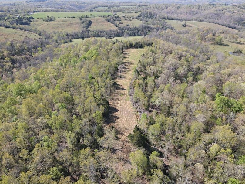DJI_0304