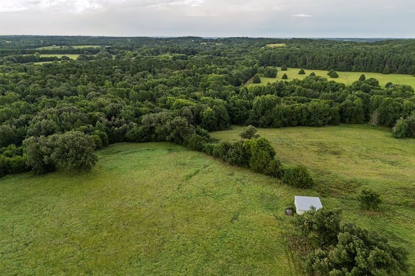 4 Copy of DJI_20250709194445_0156_D