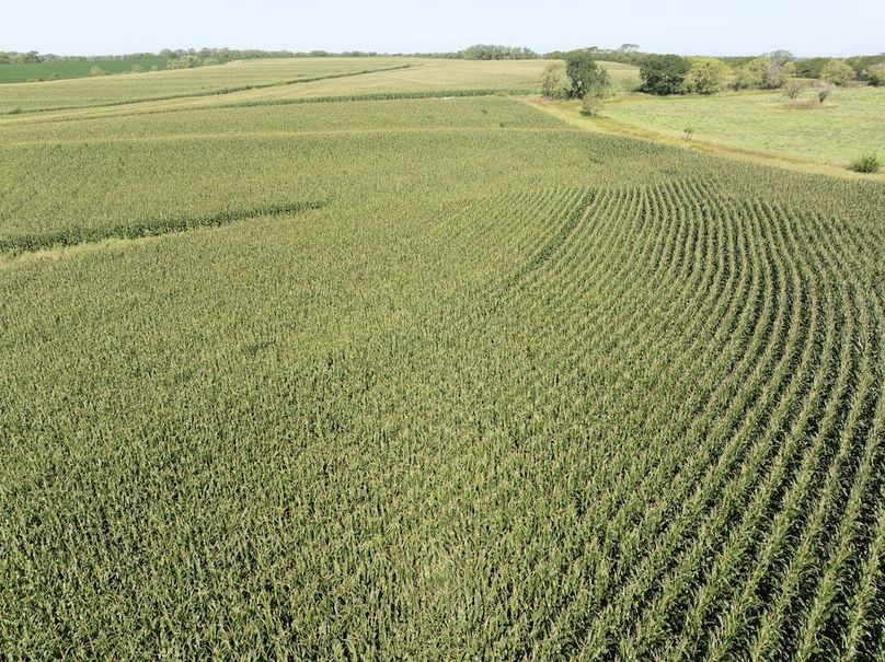 DJI_20250729103621_0089_D