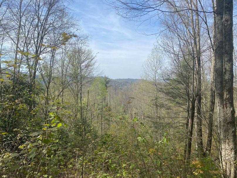 Jackson 2.19 Mansmith-02