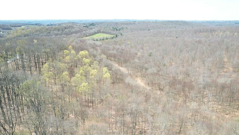 dji_fly_20250423_123654_177_1745426378656_photo