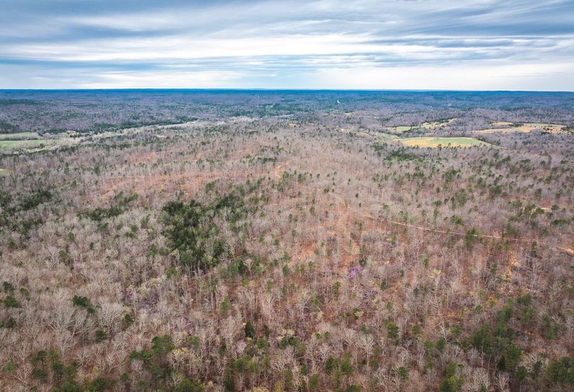 DJI_20250403135345_0612_D