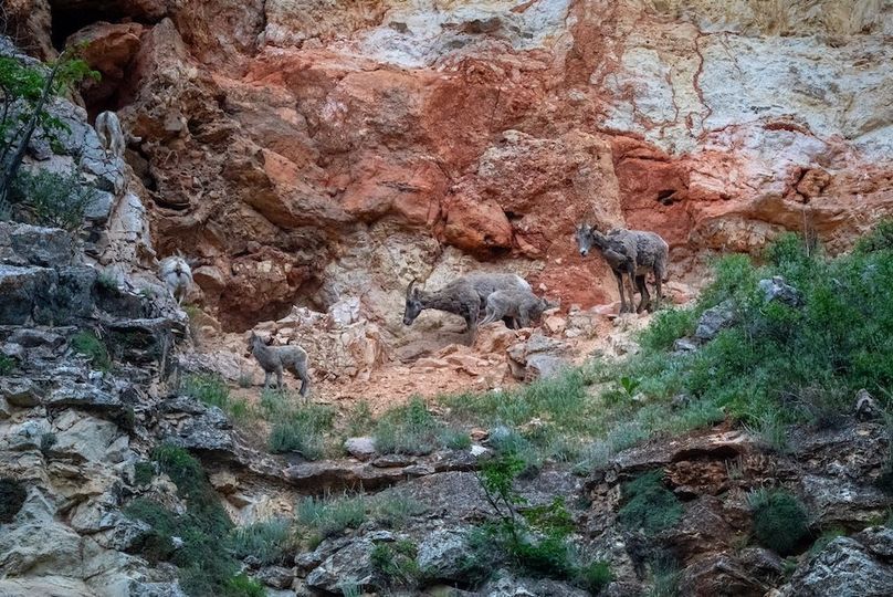 Lawrence SD 50 Featured_ProPhoto-17