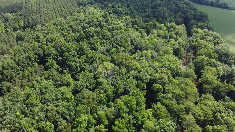 2024-06-01-10-30-25-076