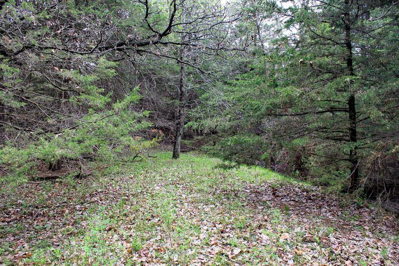 Washington, Co, 83.3_025