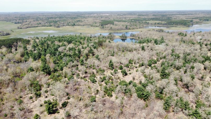 dji_fly_20230511_113620_435_1683838325717_photo_optimized