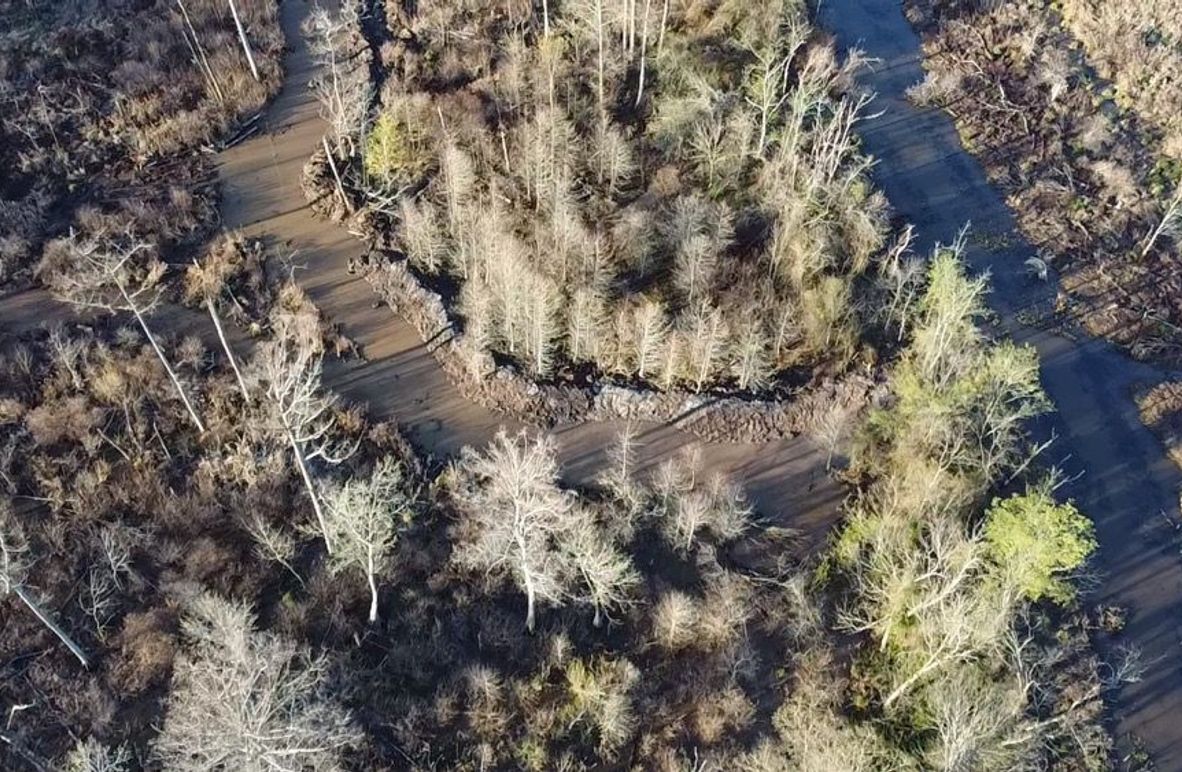 2024-03-18-08-10-16-329