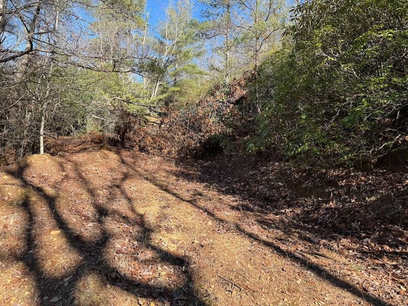 017 Clay 124.76 Fleaback-15